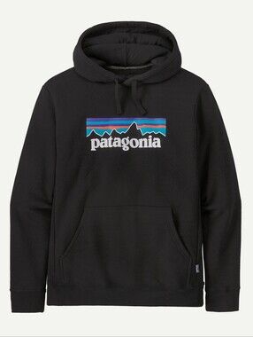 Patagonia Hooded Sweater Nwt Size M